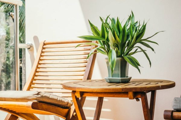 Backyard-Decor